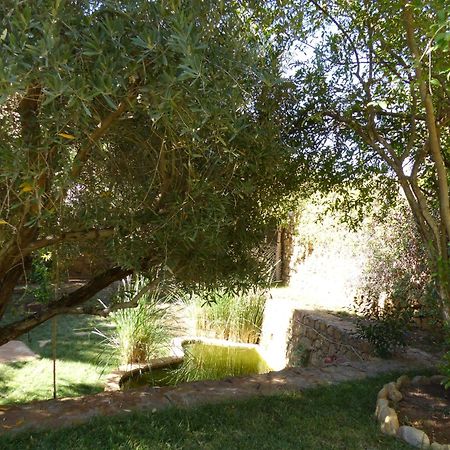 Agadir-Taghazout Magnifique Villa Dar Lina 4 Etoiles Esterno foto